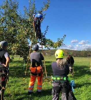 Praxisworkshop Birnen in der Landschaft | © Schwäbisches Streuobstparadies