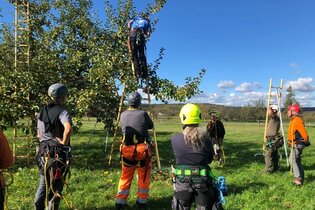 Praxisworkshop Birnen in der Landschaft | © Schwäbisches Streuobstparadies