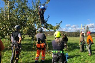 Praxisworkshop Streuobstwiesen im Herbst | © Schwäbisches Streuobstparadies