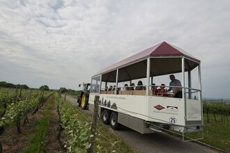 Theo | Planwagen- und Weinbergrundfahrten | Brackenheim | © Weingärtner Stromberg-Zabergäu