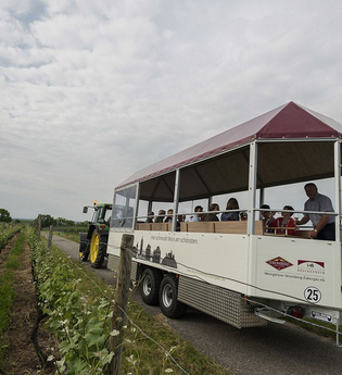 Rother Theo | Planwagen- und Weinbergrundfahrten | Brackenheim | © Weingärtner Stromberg-Zabergäu