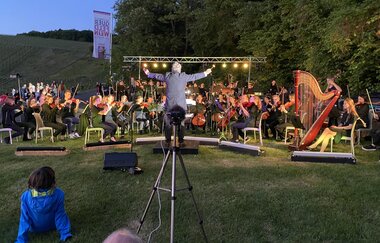 QuerFeldWein - das Weinwanderevent in Erlenbach | HeilbronnerLand | © Musikschule Unterer Neckar