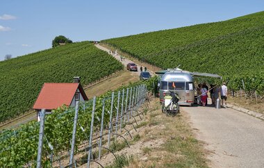 QuerFeldWein | WeinWanderEvent | Erlenbach | HeilbronnerLand | © Tourismus im Weinsberger Tal e.V.