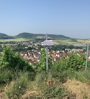 QuerFeldWein - das Weinwanderevent in Erlenbach | HeilbronnerLand