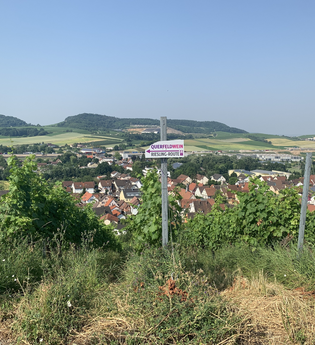 QuerFeldWein - das Weinwanderevent in Erlenbach | HeilbronnerLand | © Musikschule Unterer Neckar