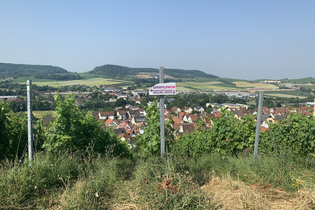 QuerFeldWein - das Weinwanderevent in Erlenbach | HeilbronnerLand | © Musikschule Unterer Neckar