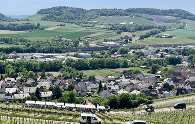 QuerFeldWein - das Weinwanderevent in Erlenbach | HeilbronnerLand | © Musikschule Unterer Neckar