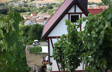 QuerFeldWein - das Weinwanderevent in Erlenbach | HeilbronnerLand | © Musikschule Unterer Neckar