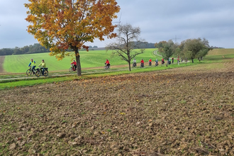 Radfahrer zwischen Felder und Wiesen | © Hohenlohe + Schwäbisch Hall Tourismus e. V.