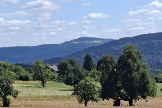 Katzenbuckel | © Radtour Katzenbuckel
