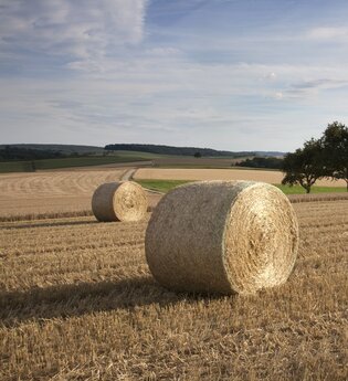 Radtour Wollenbach und Neckartal | © Rhein-Neckar-Kreis