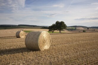 Radtour Wollenbach und Neckartal | © Rhein-Neckar-Kreis