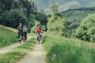 3 Radfahrer fahren auf einem Radweg inmitten von Wiesen und Wäldern | © Touristikgemeinschaft Odenwald e.V.