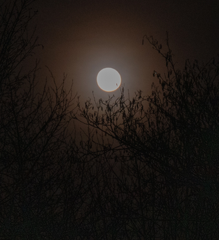 Rauhnacht rund ums Kloster - 28. Dezember 2025 und 5. Januar 2026 | © Unbekannt