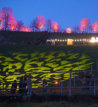 Gelb und rot beleuchtete Weinberge beim Rebenglühen | © Touristikgemeinschaft Hohenlohe e. V.