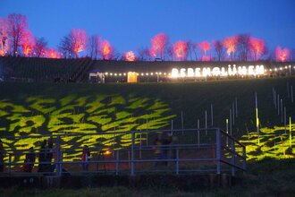 Gelb und rot beleuchtete Weinberge beim Rebenglühen | © Touristikgemeinschaft Hohenlohe e. V.