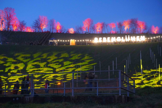 Gelb und rot beleuchtete Weinberge beim Rebenglühen | © Touristikgemeinschaft Hohenlohe e. V.