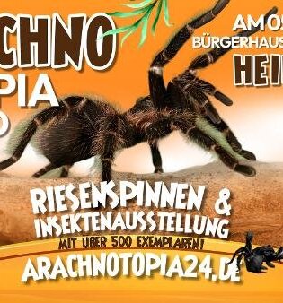 Riesenspinnen & Insektenausstellung - Heidelberg BürgerHAUS