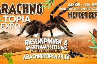 Riesenspinnen & Insektenausstellung - Heidelberg BürgerHAUS