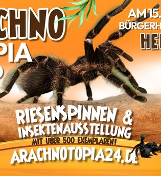 Riesenspinnen & Insektenausstellung | © Jeremy Leidig