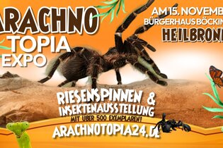 Riesenspinnen & Insektenausstellung | © Jeremy Leidig
