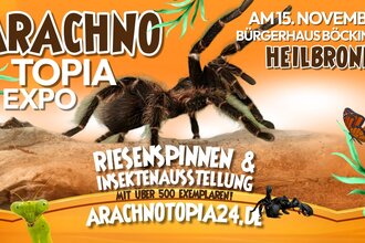 Riesenspinnen & Insektenausstellung | © Jeremy Leidig