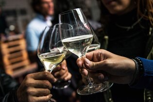 Riesling & Antipasti