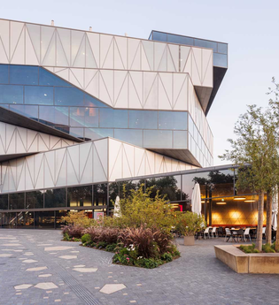 Robert Mayer Lecture