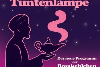 RosaKehlchen - Aladdin und die Tuntenlampe