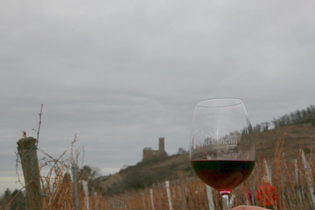 Ein mit Rotwein gefülltes Glas Rotwein im Vordegrund, im Hintergrund die Burgruine Strahlenburg | © Landratsamt Rhein-Neckar-Kreis
