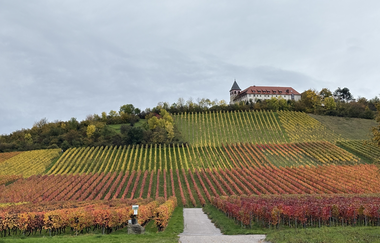 Rund um den Michaelsberg – Geschichte und Geschichten