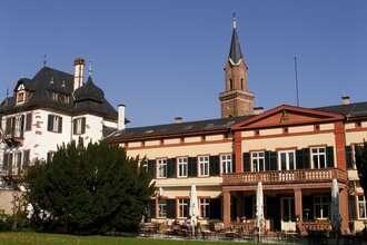 Rund ums Schloss - Stein und Grün erzählen Geschichten | © TI Weinheim
