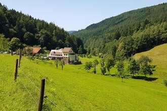 Rundtour ab Eberbach: Einmal um den Katzenbuckel ...