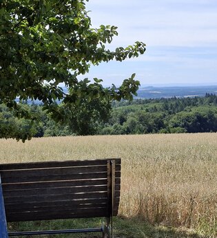 Sagenhafter Kleiner Odenwald – Sagen, Steine, Wälder, Burg