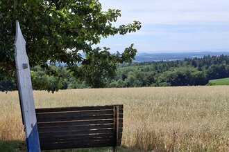 Sagenhafter Kleiner Odenwald – Sagen, Steine, Wälder, Burg