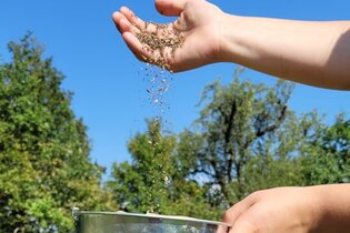 Samenbücherei Güglingen – Eröffnung mit Vortrag