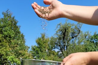 Samenbücherei Güglingen – Eröffnung mit Vortrag
