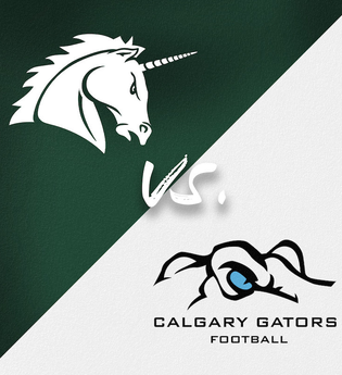 Schwäbisch Hall Unicorns vs. Calgary Gators (CAN) | © TSG Schwäbisch Hall e.V.