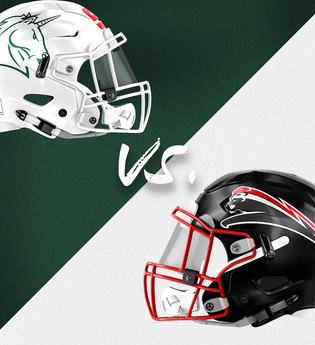 Schwäbisch Hall Unicorns vs. Düsseldorf Panther | © TSG Schwäbisch Hall e.V.