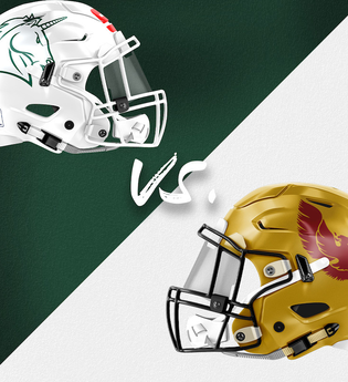 Schwäbisch Hall Unicorns vs. Regensburg Phoenix | © TSG Schwäbisch Hall e.V.