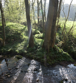 Schwarzbach von der Quelle bis zur Mündung | © Quelle: Landratsamt Rhein-Neckar-Kreis