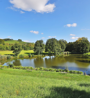 Stausee in Bretzfeld mit grüner Wiese, Bäumen und blauem Himmel | © Touristikgemeinschaft Hohenlohe e.V. | Andi Schmid
