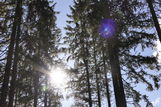 Silvesterparty für Kinder | © TMBW