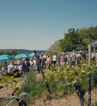 Menschen vor Weinständen im Weinberg