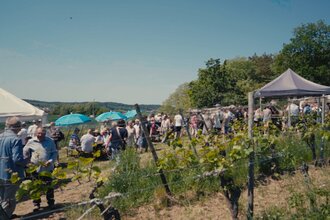 Menschen vor Weinständen im Weinberg