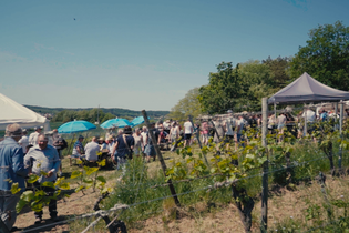 Menschen vor Weinständen im Weinberg