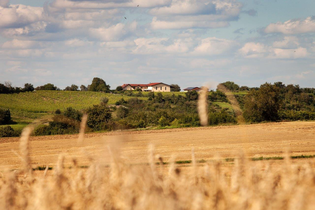 Sommer-Bistro | © WEINGUT LUDWIG HONOLD