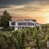 Weingut Eberbach-Schäfer | Lauffen am Neckar | HeilbronnerLand | © Weingut Eberbach-Schäfer