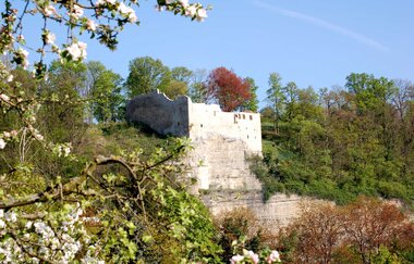 Spaziergang von der Stadtmitte zur Burgruine Löffelstelz