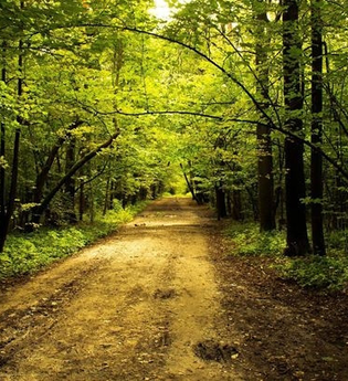 Spiritueller Abendspaziergang | © Pexels